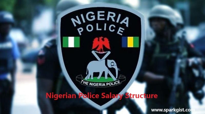 Nigerian Police Salary Structure By Ranks 2023 - NPF Salary Structure